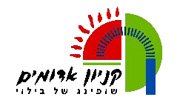 אלבום דיגיטלי